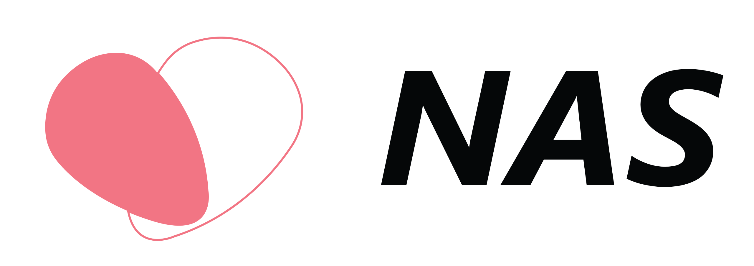 NAS NEW LOGO